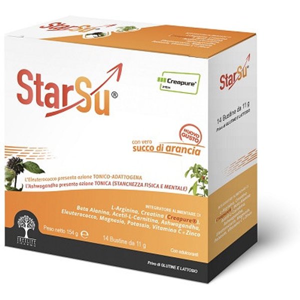 Starsu 14bust