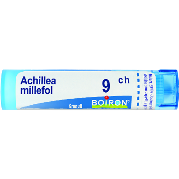 Achillea millef 9ch gr