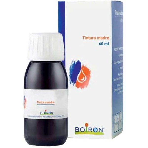 Bo.thuya tm 60ml