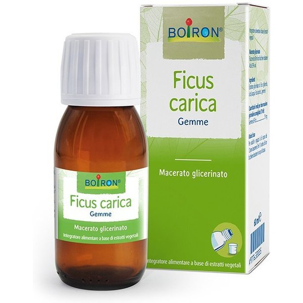 Ficus carica gemme 60ml mg