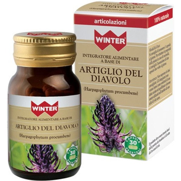 Winter artig diav bio 30 capsule veg