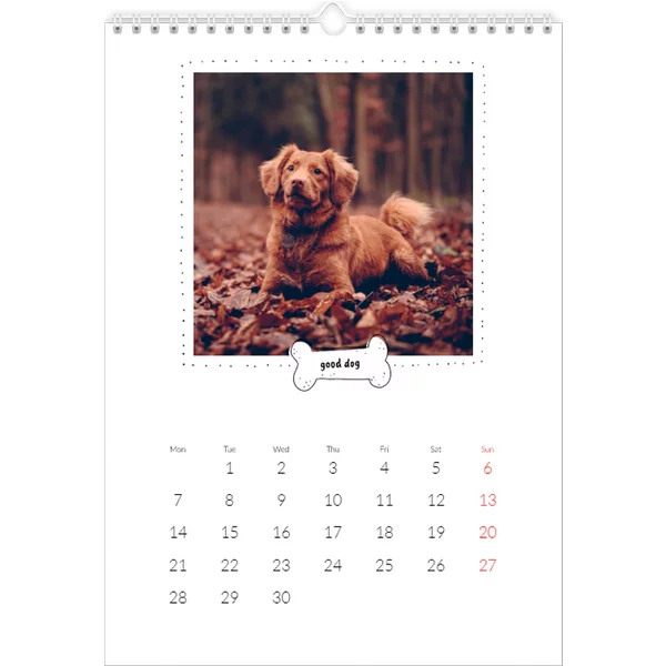 Fotokalender A3 Hochformat - Hundekalender