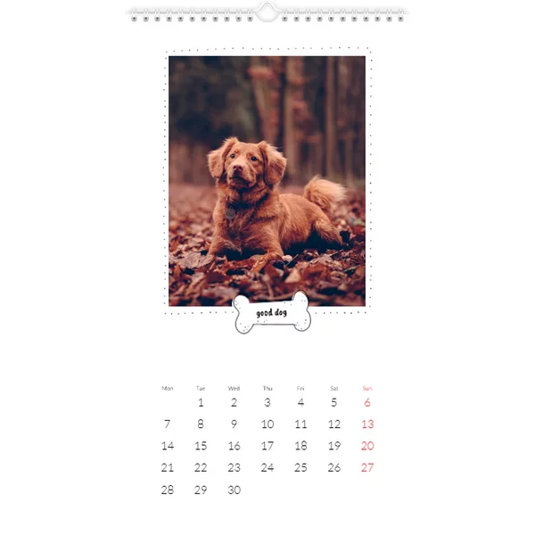 Fotokalender XL - Hundekalender