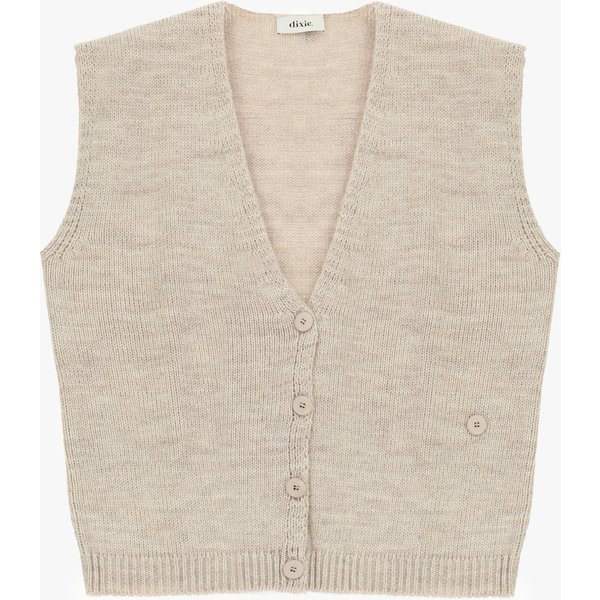 Gilet Maille Femme Col V Et Boutons-image