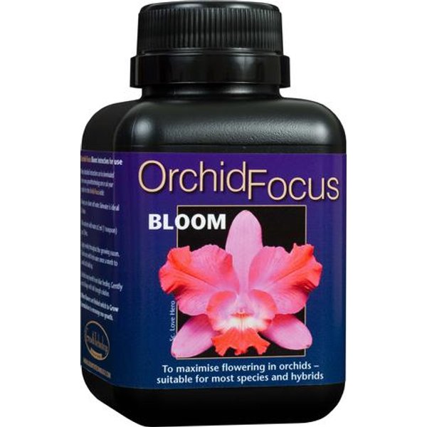Orchid Focus Bloom