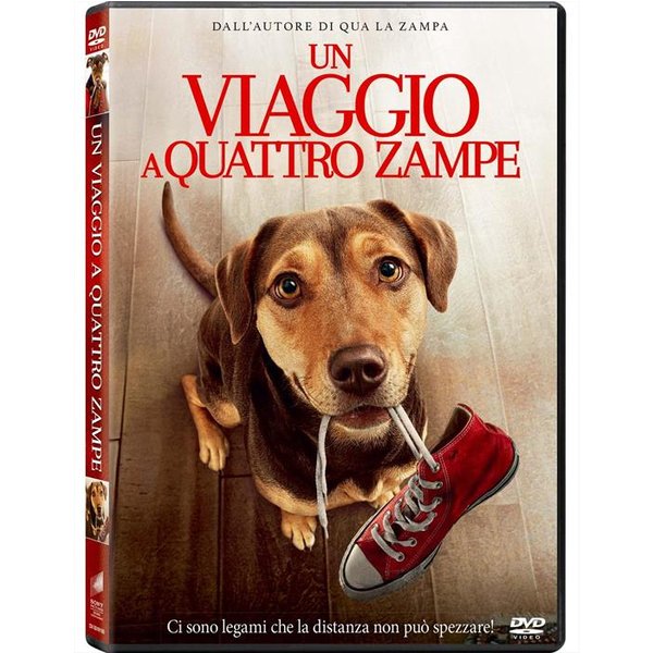 Eagle Pictures - Viaggio A Quattro Zampe (un)-image