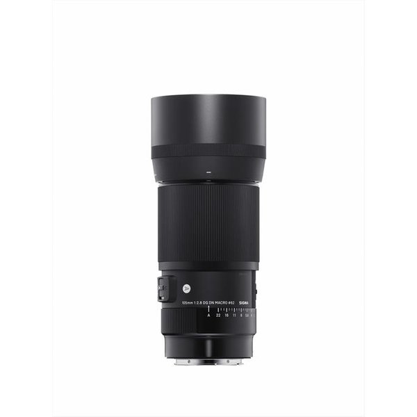 Sigma - Ob.105/2.8 (A) Dg Dn Macro Sony E/Mount-Nero/Silver-image