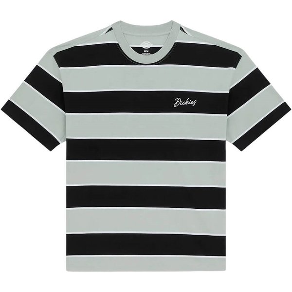 Dickies Mens Embroidery Stripe Midweight T-Shirt - Jadeite - S