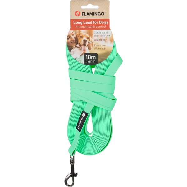 Flamingo Cane Guinzaglio Educativo "Caspar" 17 MM X 10 MT Verde Menta-image