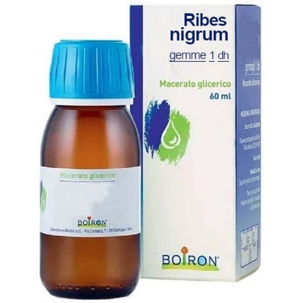 Boiron Ribes Nigrum A Base Di Gemme 60 Ml-image