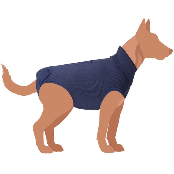 Camon Cane Tutina Post Operatoria "Exclusive" Tg. 30 Blu-image