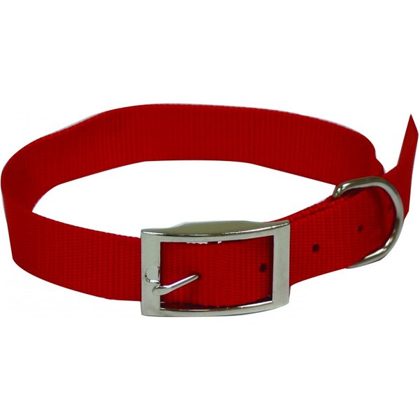 Collare Nylon 25X550 Rosso-image
