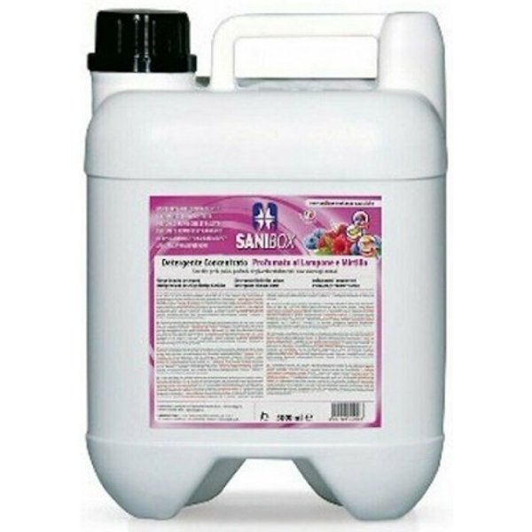 PET Professional Sanibox Tanica Detergente Concentrato Lampone & Mirtillo 5 LT-image