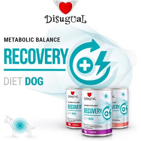 Disugual Cane Diet Recovery Anatra 400 Gr-image