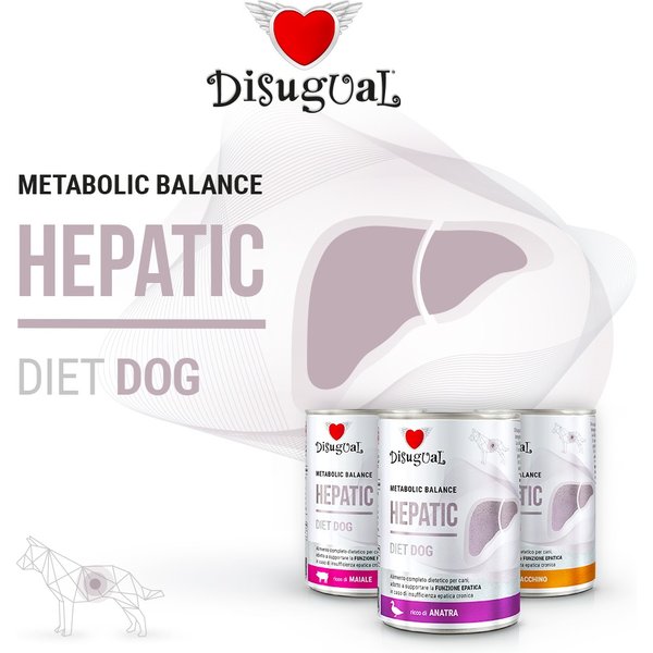 Disugual Cane Diet Hepatic Maiale 400 GR-image
