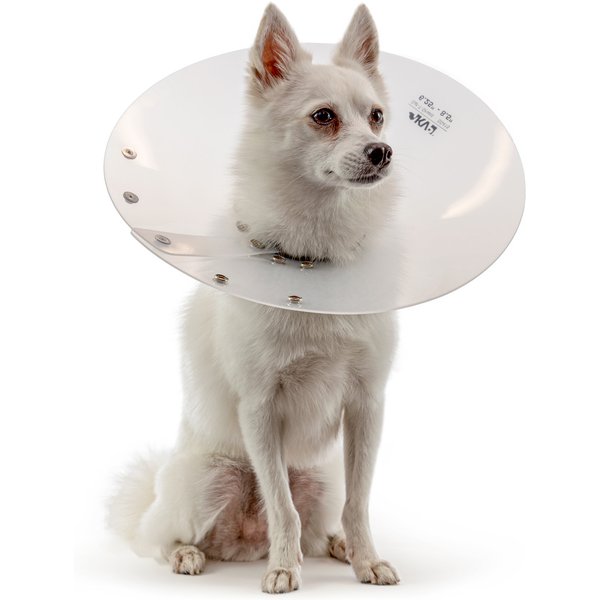 Kvp Collare Elisabettiano SAF-T-SHIELD 27-36 Cm-image