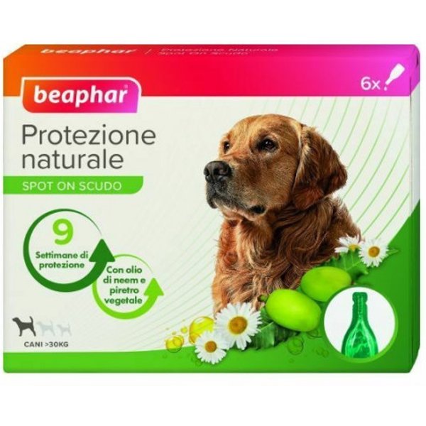 Protezione NAT Spot ON C TG 6P-image