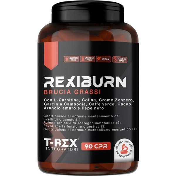 T-REX Rexiburn Brucia GRA90CPR-image