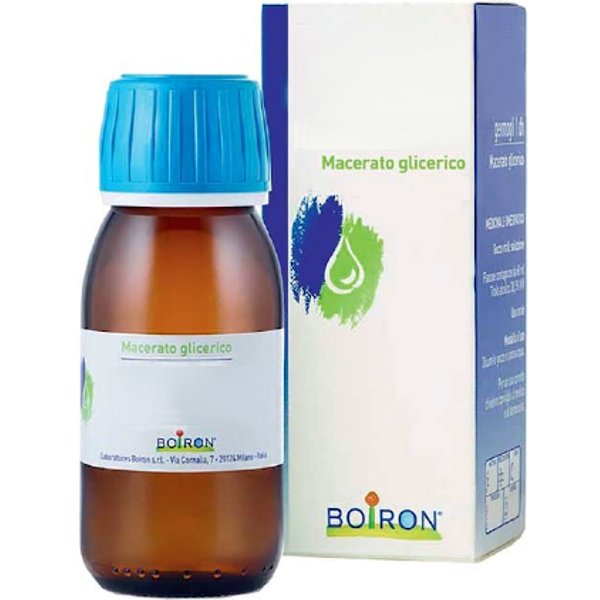 Rosmarinus Officinalis Macerato Glicerico 60Ml Boiron-image