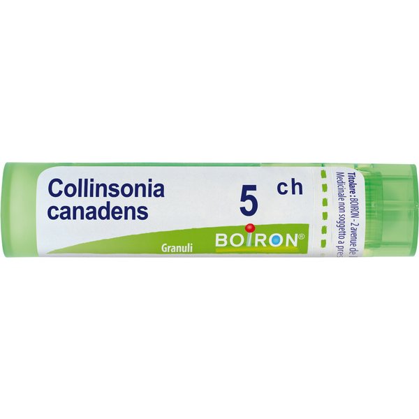 Collinsonia Canadensis 5Ch Granuli Multidose Boiron-image