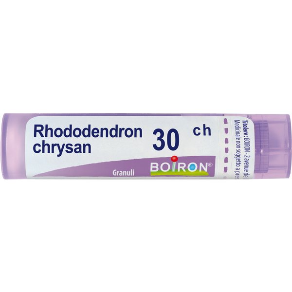 Rhododendron Chrysan 30Ch Granuli Multidose Boiron-image