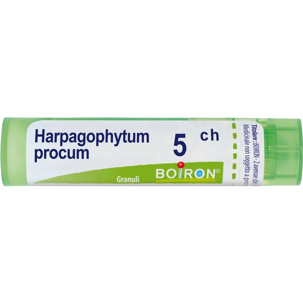 Harpagophytum Procum 5 Ch Tubo 2020-image