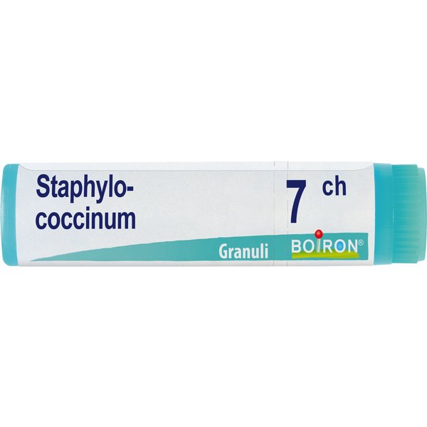 Staphylo- Coccinum 7 Ch Dose 2020-image