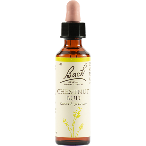 Chestnut Bud Bach Original 20 Ml-image