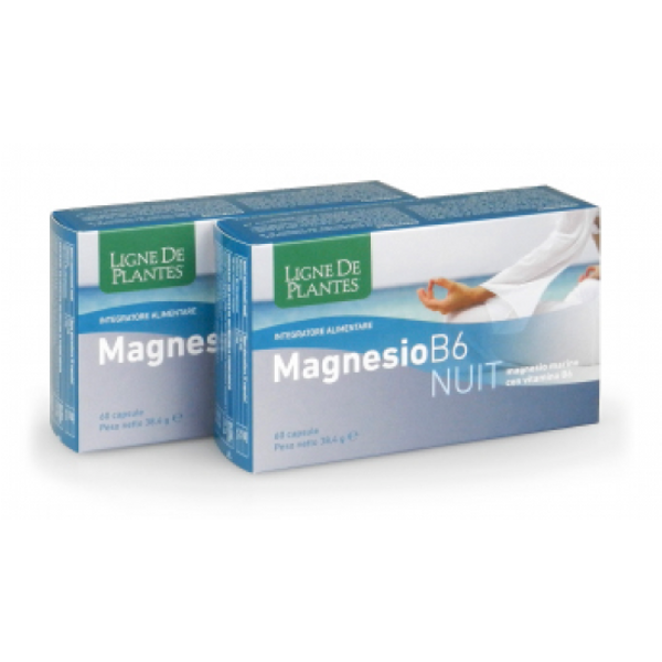 Magnesio B 6 Nuit 60 Capsule-image