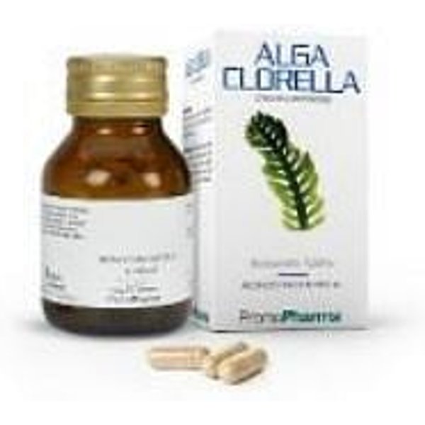 Alga Clorella 50 Capsule-image