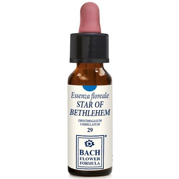 Star Of Bethlehem 10Ml Gocce-image