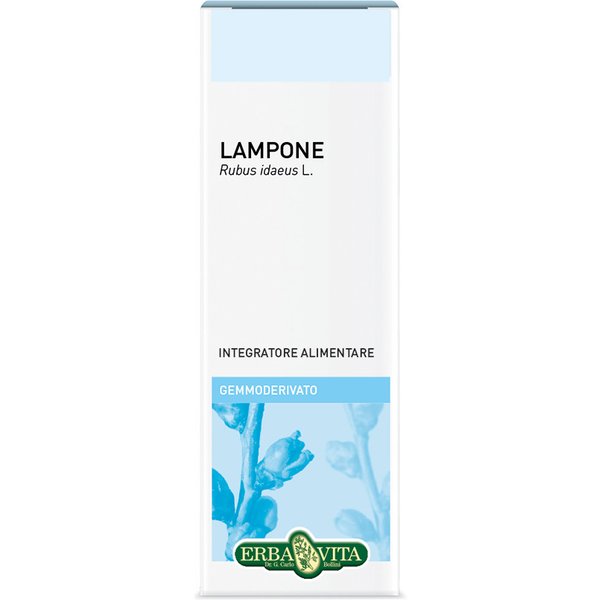 Lampone 50Ml Gemmoderivato Erbavita-image