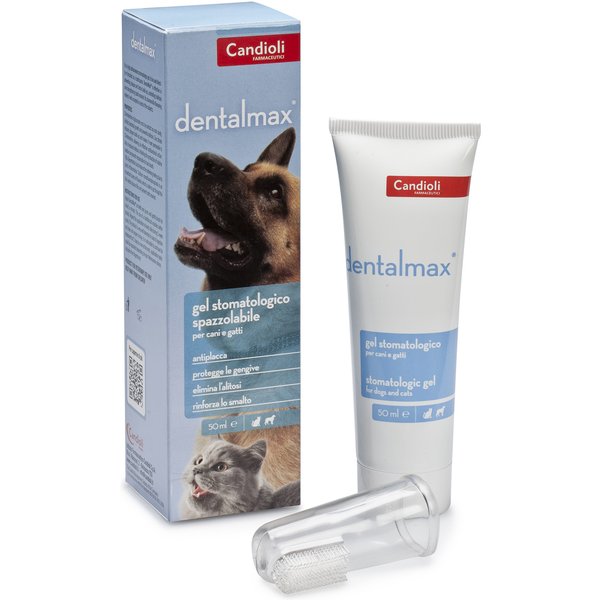 Dentalmax Gel Stomatologico 50Ml-image