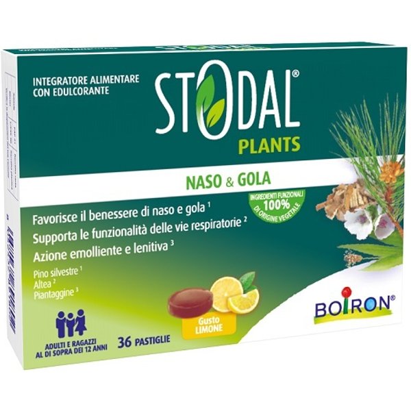 Stodal Plants Limone 36PAST-image