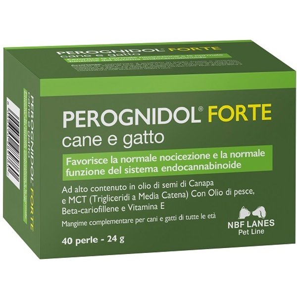 Perognidol Forte Perle-image