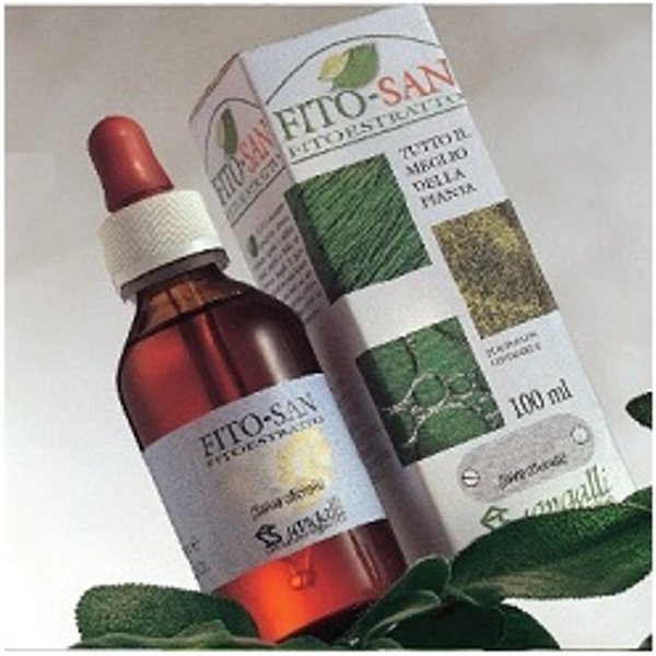 Ribes Nero Tintura Madre 100ML-image