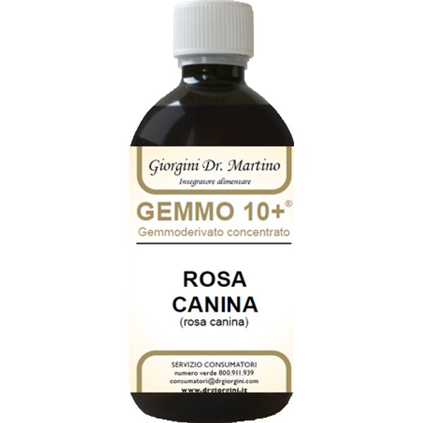 Rosa Canina Liquido Analcolico Gemmo 10+ Giorgini-image