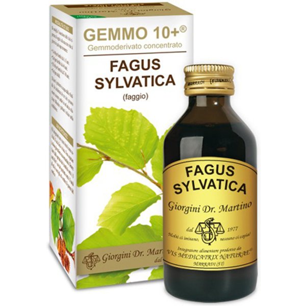 Faggio 100Ml Analcolico Gemmo 10+ Giorgini-image