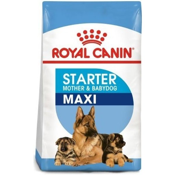 Royal Canin Starter Mother And Babydog Maxi - Alimento Per Madri E Cuccioli 4 Kg-image