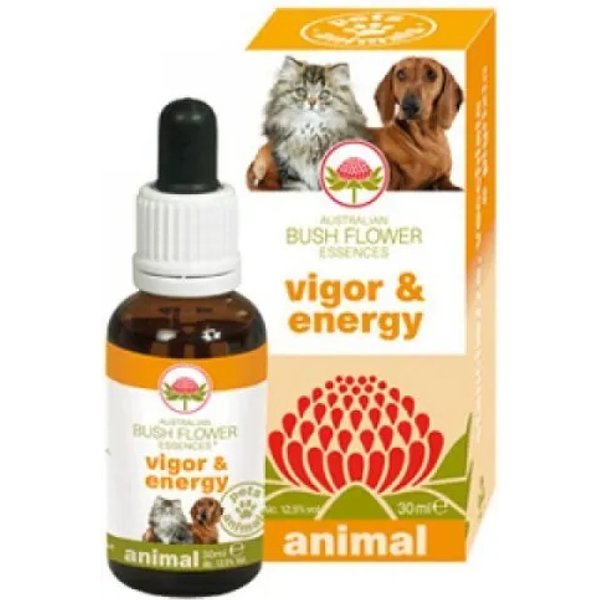 Green Remedies Vigor E Energy Australian Bush Flower Essences Gocce 30 Ml-image