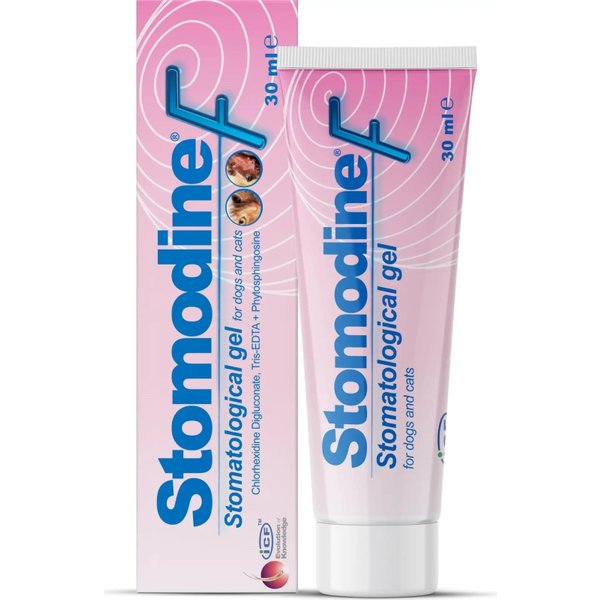 I.C.F. Stomodine F 30Ml - Gel Stomatologico Per Cani E Gatti-image