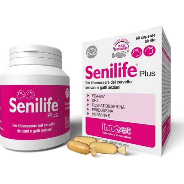 Innovet Senilife Plus 60 Capsule - Mangime Complementare Per Il Cervello Di Cani E Gatti-image