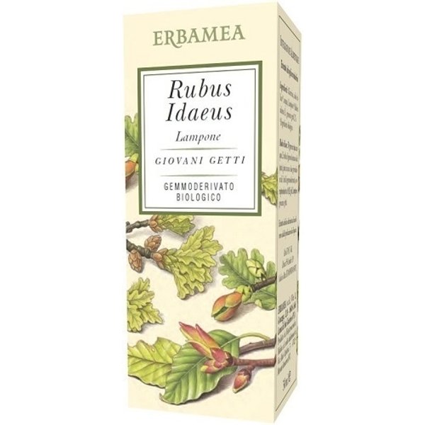 Erbamea Rubus Idaeus Lampone Bio 50 Ml - Integratore Per Il Benessere Generale-image