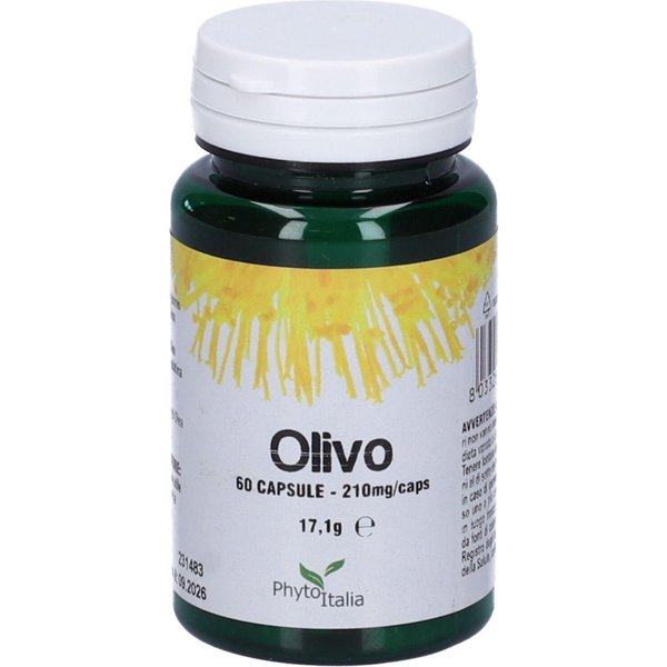 Olivo 60 Capsule - Integratore Antiossidante Per La Circolazione Sanguigna-image