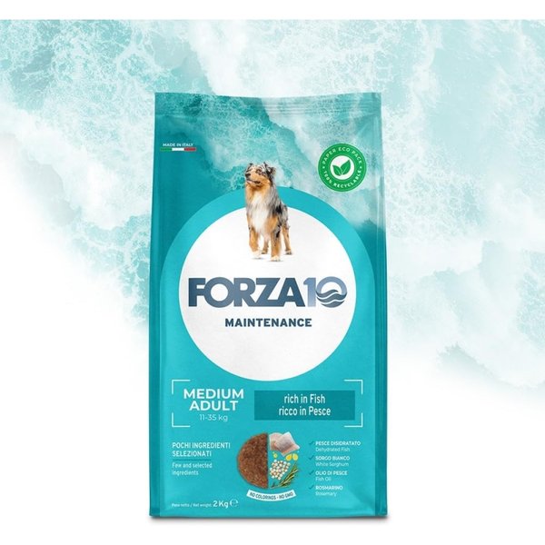 FORZA10 Maintenance Medium Adult Al Pesce - Alimento Completo Per Cani Adulti Di Taglia Media 12 Kg-image