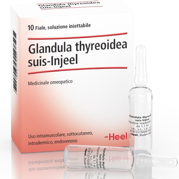 Heel Glandula Thyreoidea Suis Injeel Medicinale Omeopatico 10 Fiale-image