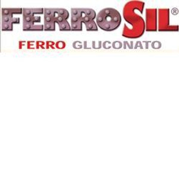 Ferrosil Integrat 15ML-image