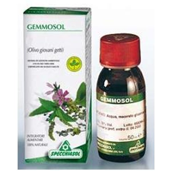 Ribes Nero 50ML Gemmosol 36 Sp-image