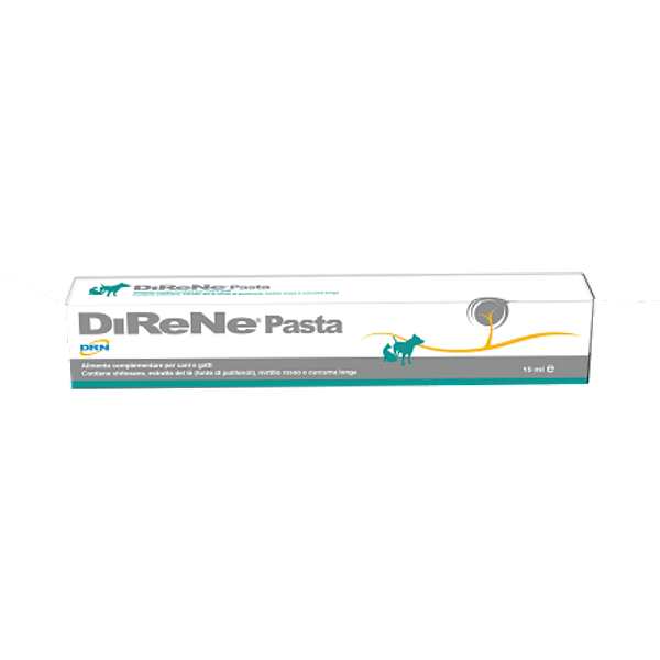 Direne Pasta 15ML-image