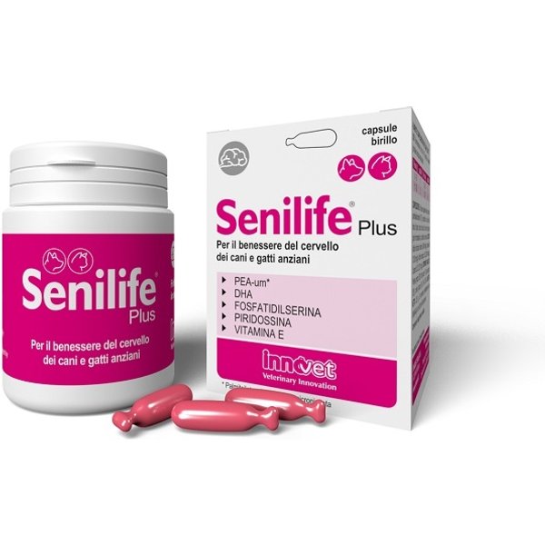 Innovet Italia Senilife Plus 30 Capsule-image